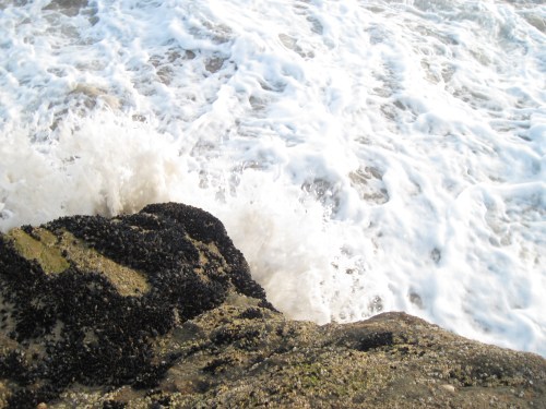 Nathans 1 gig Card 183