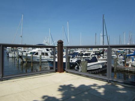 552089_10151020986161841_1462053496_n