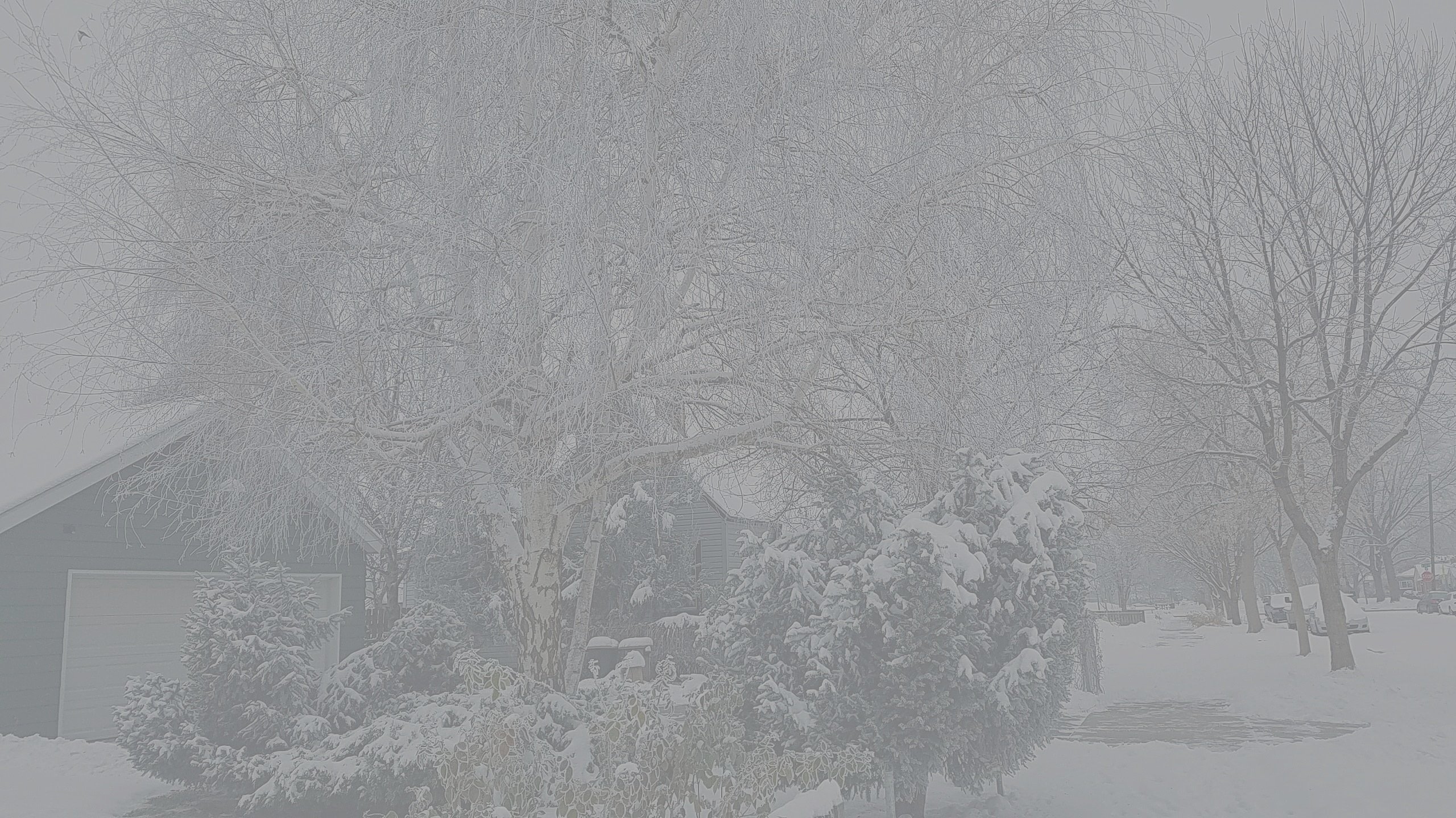 December 11, 2018 – haiku the hell out of life
